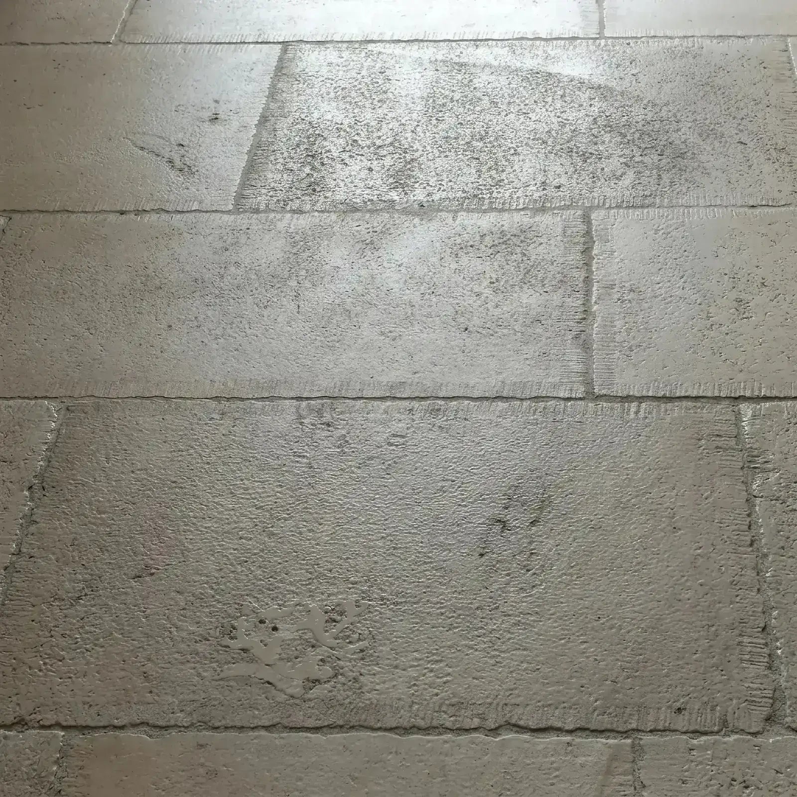 Französischer Kalkstein Referenz